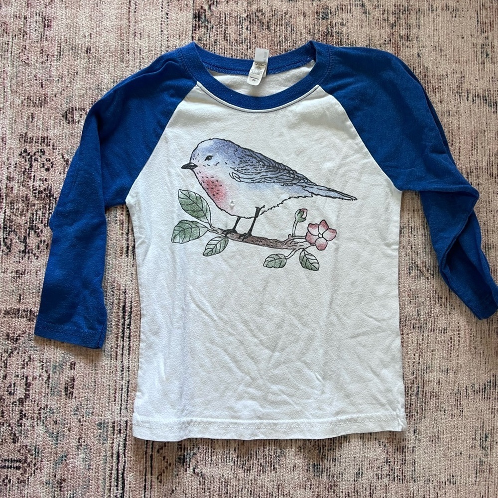 Kids Blue and White Bird Graphic Raglan Shirt